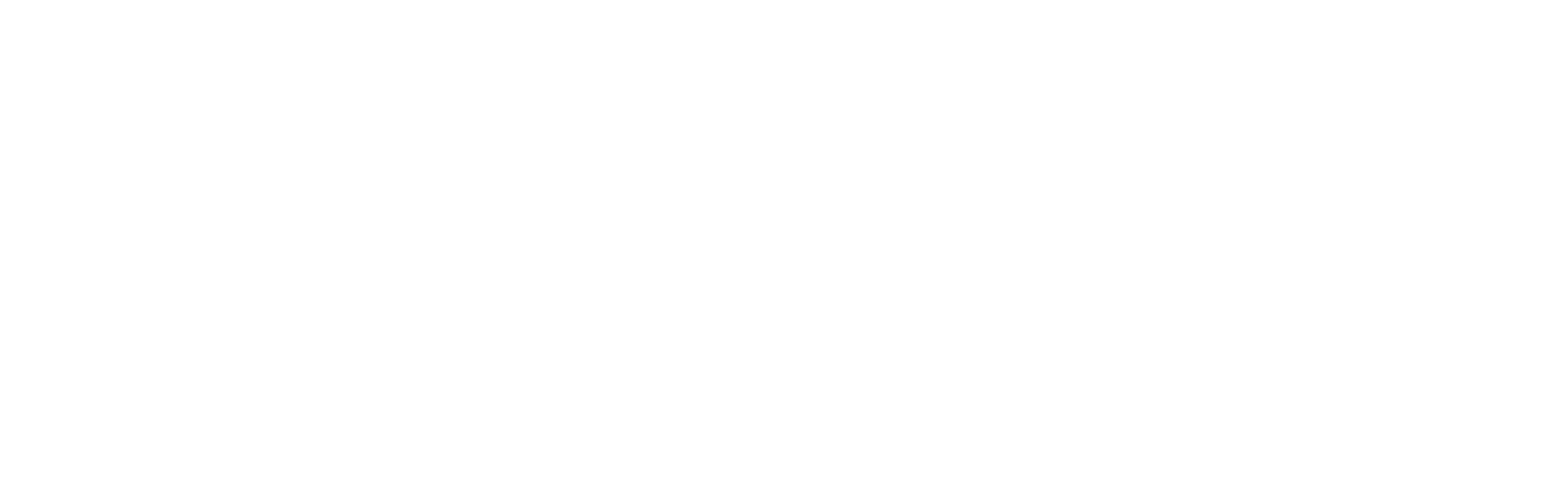 c2ai white logo